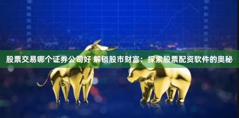股票交易哪个证券公司好 解锁股市财富：探索股票配资软件的奥秘